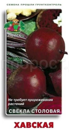 Свекла Хавская 3 г Свекла Хавская 3 г