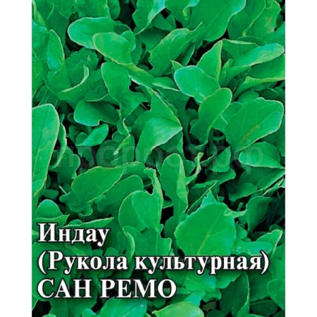 Индау (двурядник, рукола) Сан Ремо 25г