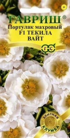 Портулак Текила Вайт F1 5шт  Портулак Текила Вайт F1 5шт