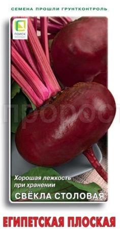 Поиск Свекла Египетская плоская 3г