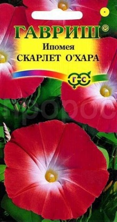 Ипомея Скарлет О Хара 0,5г  Ипомея Скарлет О Хара 0,5г