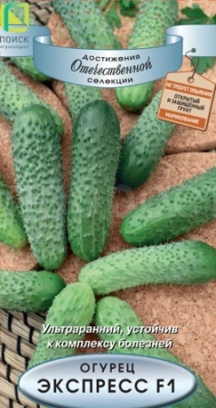 Огурец Экспресс F1 12шт Огурец Экспресс F1 12шт