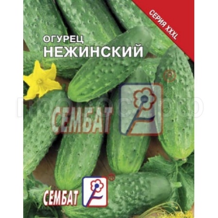 Сембат Огурец Нежинский 5г XXXL