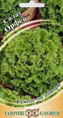 Салат Орфей 1,0г Салат Орфей 1,0г