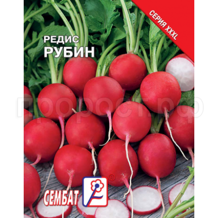 Редис Рубин 10г  Редис Рубин 10г