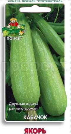 Кабачок Якорь 12шт  Кабачок Якорь 12шт