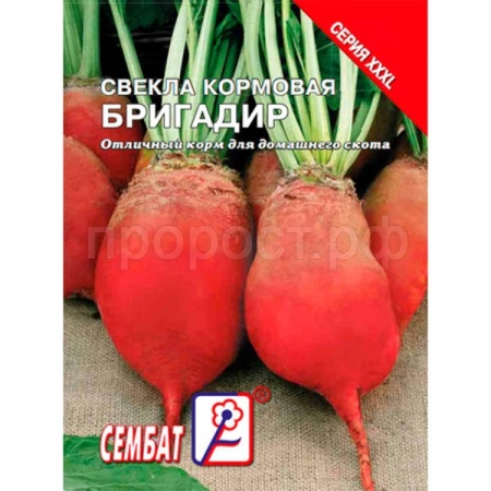 Свекла кормовая Бригадир 10г Свекла кормовая Бригадир 10г
