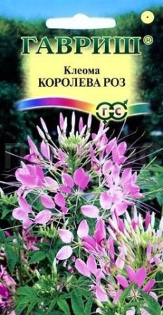 Клеома Королева роз 0,2 г Клеома Королева роз 0,2 г