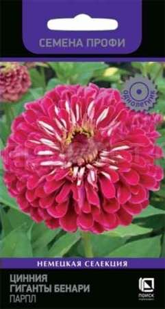 Цинния Гиганты Бенари Парпл 10шт Цинния Гиганты Бенари Парпл 10шт