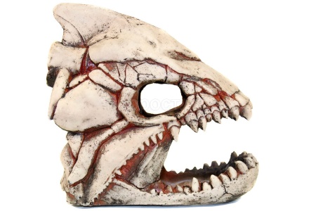 Грот Deksi Скелет рыбы 902 20*10*19см/250826