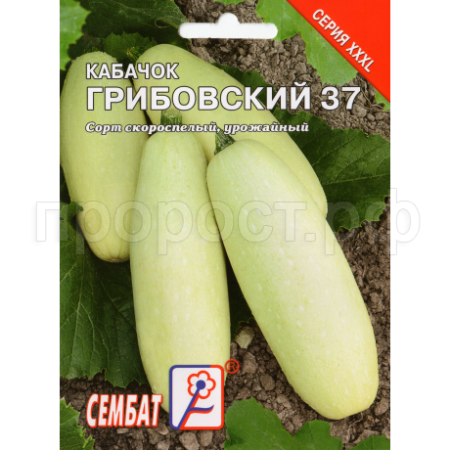 Кабачок Грибовские 37 15г XXXL Кабачок Грибовские 37 15г XXXL