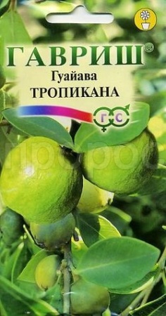 Гуайава Тропикана 0,2 г  Гуайава Тропикана 0,2 г