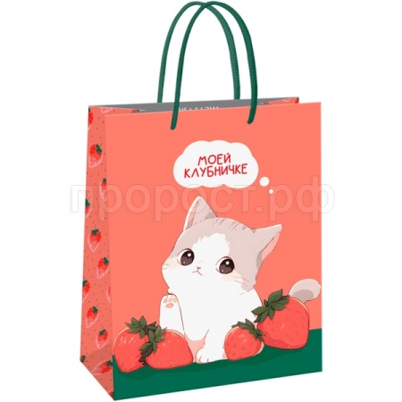 Пакет подарочный 11*14*6,5см "Strawberry" матовая ламинация MESHU/Рельеф Пакет подарочный 11*14*6,5см "Strawberry" матовая ламинация MESHU/Рельеф